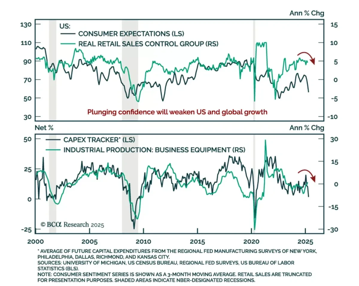 Macro Insight