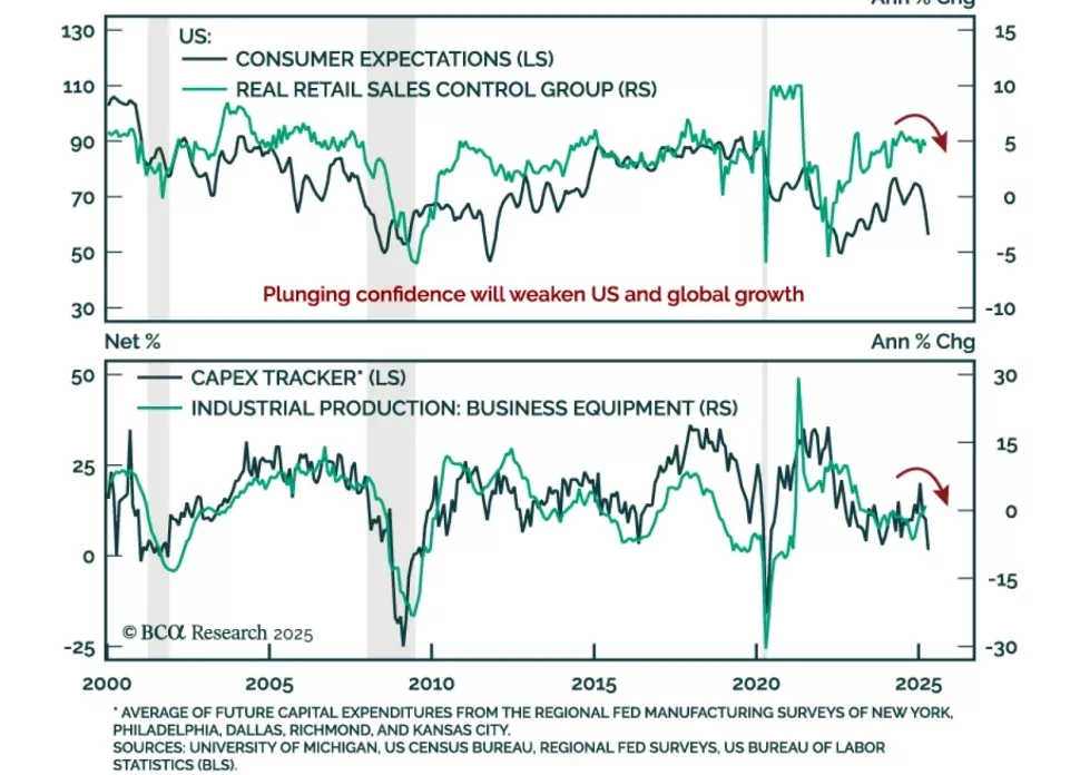 Macro Insight
